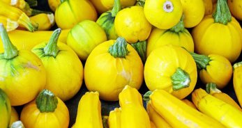 Los colores para Géminis - GéminisHoy.net